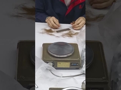 Tek fırça özelleştir Logo